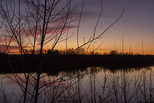 Panoramic autumn sunshine background with dark trees and river silhouette. Colorful sundown sky once the sun has set
