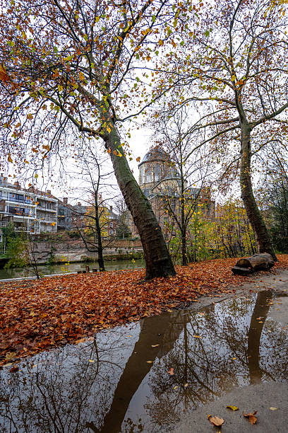 istock Stream and Reflections of Bare Trees in a Flanders Park 2248055043
