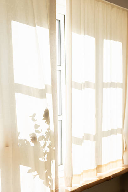 istock Bright Morning Sunlight Streams Through Sheer Window Curtains, Creating Soft Shadows of Indoor Plants and Windowpanes 2248056401