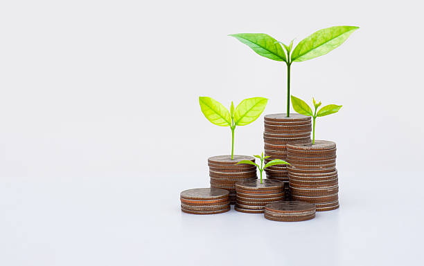 istock coin stack money saving concept. green leaf plant growth on rows of coin on white background. money matters tips to investment and business financial banking for Financial Wellness.money management. 2248058327