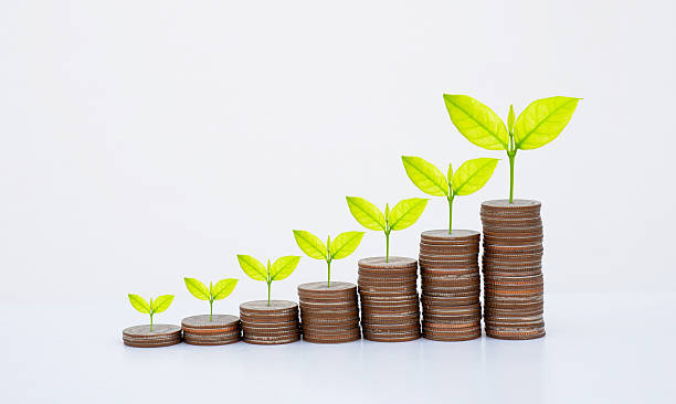 istock coin stack money saving concept. green leaf plant growth on rows of coin on white background. money matters tips to investment and business financial banking for Financial Wellness.money management. 2248058355