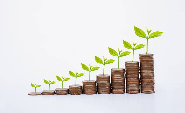 istock coin stack money saving concept. green leaf plant growth on rows of coin on white background. money matters tips to investment and business financial banking for Financial Wellness.money management. 2248058362