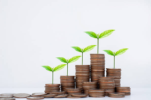 istock coin stack money saving concept. green leaf plant growth on rows of coin on white background. money matters tips to investment and business financial banking for Financial Wellness.money management. 2248058433