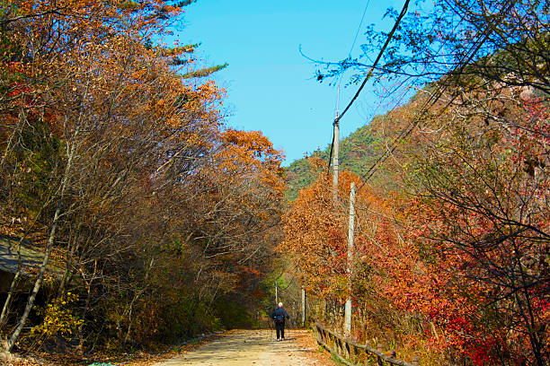 A hiker climbing down the autumn trail on a clear day