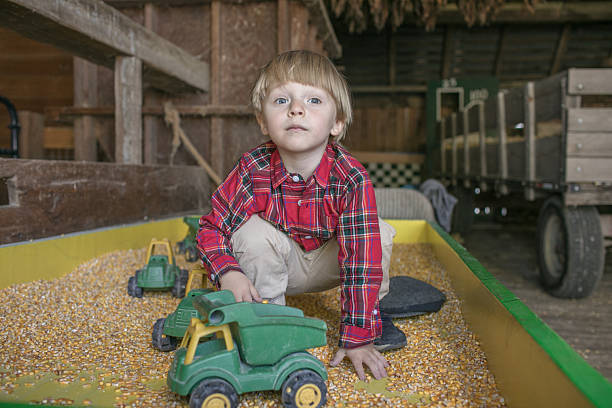 Little boy playing with grains and toy tractors in a wooden barn on a countryside farm