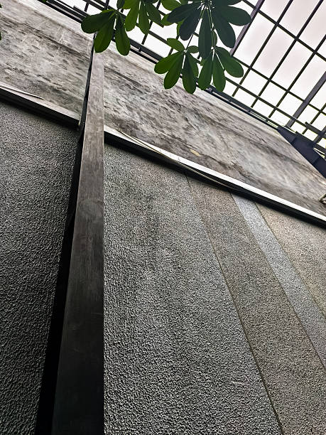istock Industrial Wall with a Touch of Nature 2248063207
