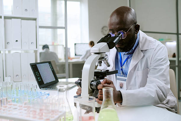 istock Middle Aged Black Man Examining Samples with Microscope in Medical Laboratory 2248065591