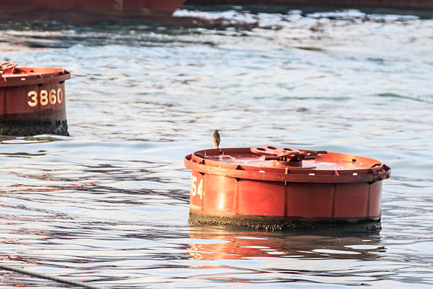 istock Black-crowned Night Heron Perched on Rusty Mooring Buoy in Calm Harbor Waters 2248066549