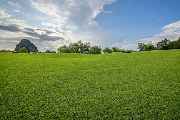 istock Rolling green grass hills and mountain landscape under dramatic cloudy sky. 2248066832