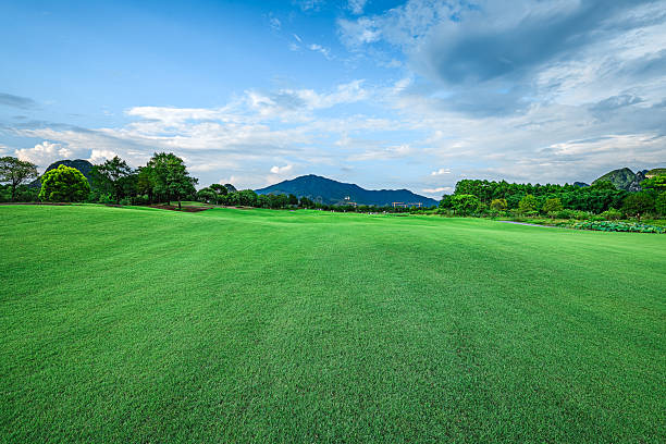 Expansive meadow stretching toward mountains under a sky filled with fluffy white clouds.