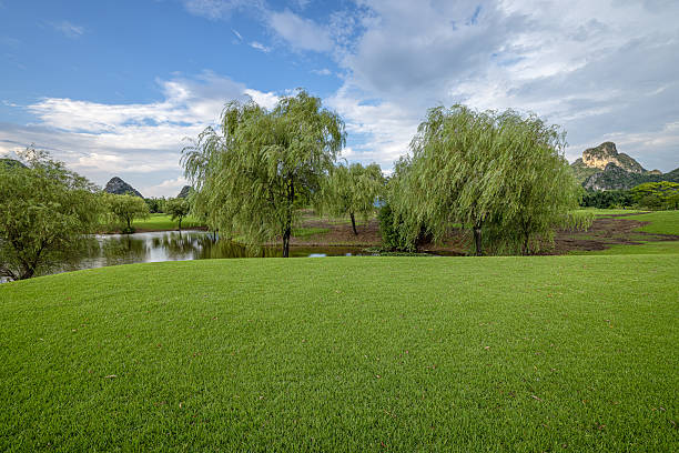 Lush green turf and willow trees set against a backdrop of distant mountains.