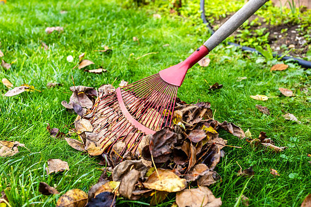istock red fan rake gathers fallen leaves on green lawn 2248068726