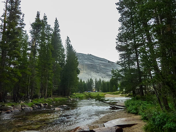 Scenic view of the Merced river flowing through dense pine tree forest and vistas on massive granite monoliths El Capitan in Yosemite National Park, California, United States of America, USA. Overcast