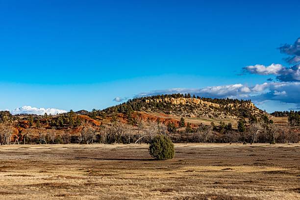 istock Prairie Dog Mounds With Red Rock Mountain Views. 2248073875