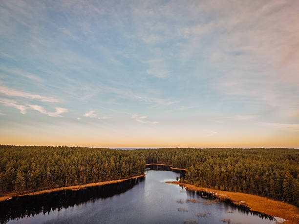 istock Serene landscape featuring a tranquil lake surrounded by lush evergreen trees under a soft pastel sky, capturing the essence of nature's beauty and peacefulness 2248074118