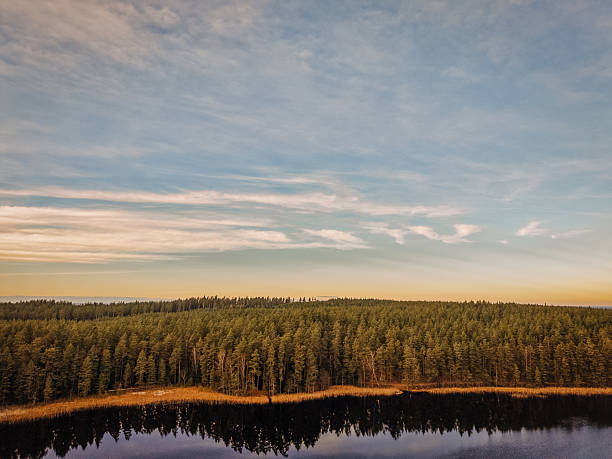 istock Serene landscape featuring a tranquil lake reflecting a lush forest under a colorful sky, showcasing the beauty of nature and peaceful outdoor scenery 2248074182