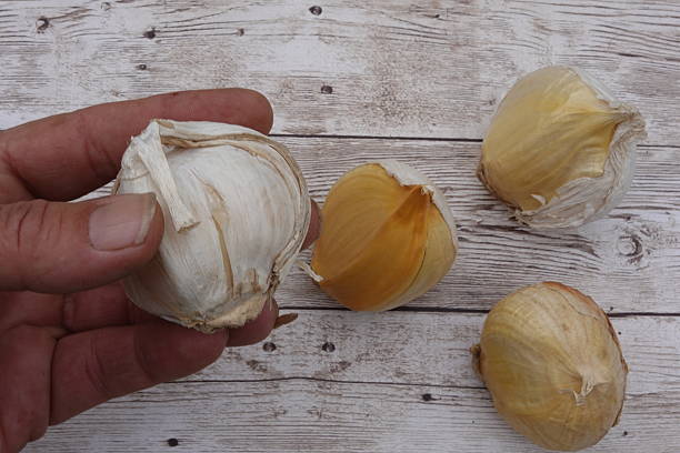 istock Hand holding garlic bulb over wooden table 2248075400