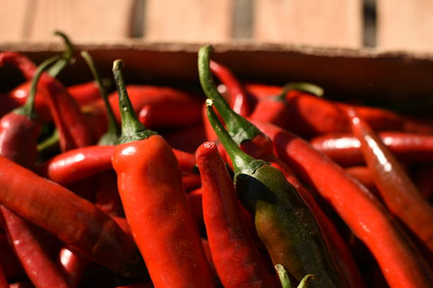 istock Red Chili Peppers Side View, Many 2248076173