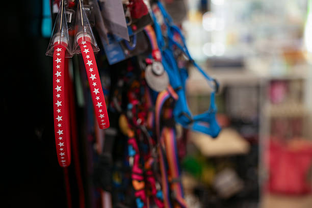 Different leashes on display in pet shop, closeup. Space for text