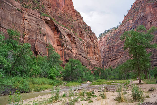 istock Zion National Park - Scenic view of Virgin river going along massive red rock formations, canyons and cliffs 2248078043