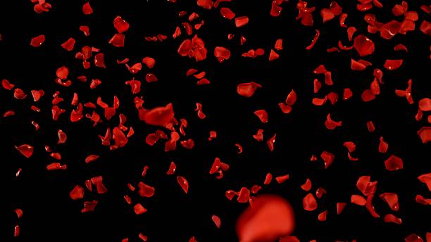 istock Super Slow Motion of Flying Red Rose Petals 2248080606