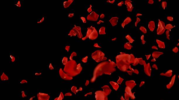 istock Super Slow Motion of Flying Red Rose Petals 2248080624