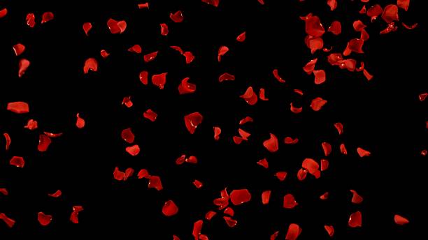 istock Super Slow Motion of Flying Red Rose Petals 2248080639