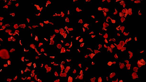 istock Super Slow Motion of Flying Red Rose Petals 2248080671