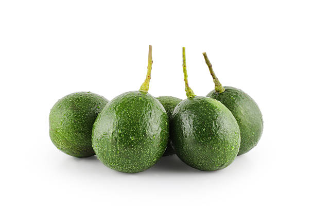 Group of five fresh green avocados with water drops isolated on white background. Raw organic healthy fruit with stem for vegetarian food, keto diet and salad ingredient concept