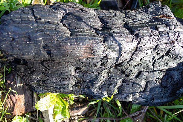 istock Burned charcoal, wood, close-up, background 2248081153
