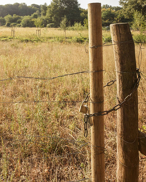 istock Padlock securing gate on a barbed wire fence protecting a field 2248082600