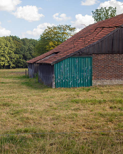istock Old barn standing in green field near forest on cloudy day 2248082634