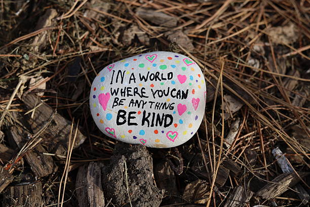 istock Be kind kindness rock on dry pine needles on forest floor 2248083475