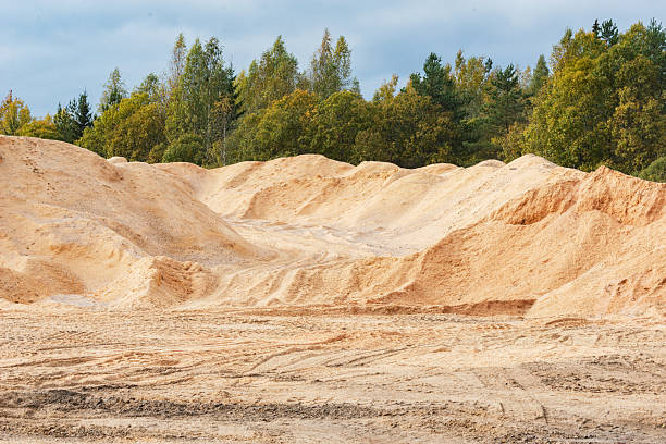 istock Sawdust hills by the forest. 2248085914