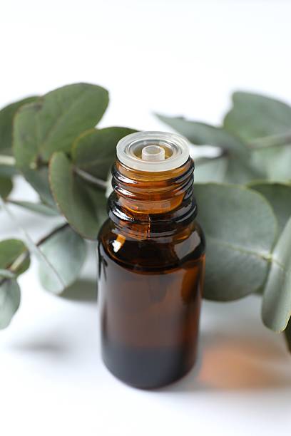 istock Bottles of eucalyptus essential oil 2248086753