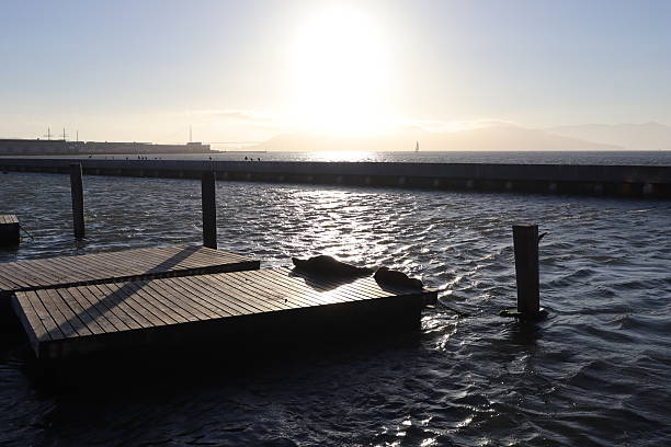 An evening from Pier 39 in San Francisco city.