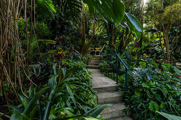 istock Nature Gardens in Barbados 2248095656