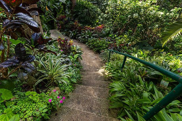 istock Nature Gardens in Barbados 2248095662