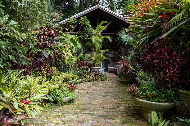 istock Nature Gardens in Barbados 2248095676