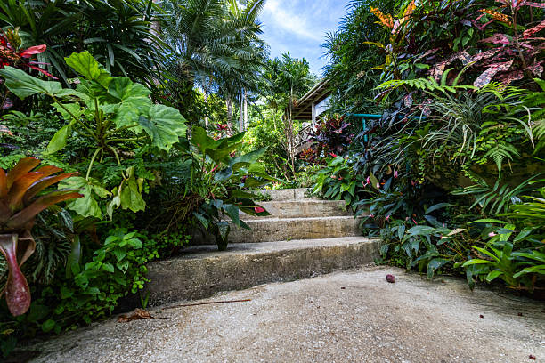 istock Nature Gardens in Barbados 2248095682