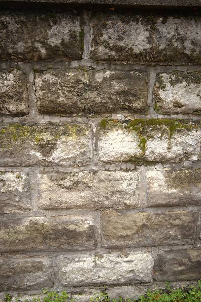 istock Brick Wall with Green Color Moss, Close-Up, Copy Space 2248098948