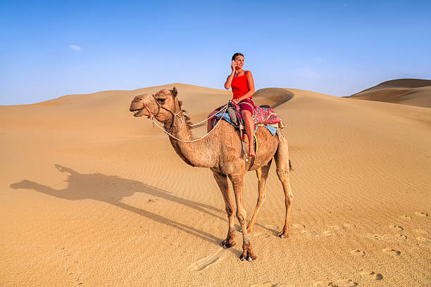 istock Young female tourist using mobile on a camel, Rajasthan, India 2248103599