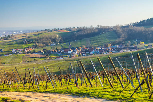 istock Village Saint Hippolyte surrounded by lush Alsace vineyard landscape 2248108450