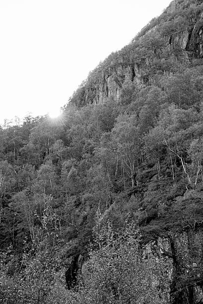 istock Folgefonna National Park in autumn 2248116214