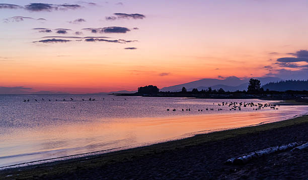 istock Beautiful Sunset at Iona Beach With Colors Reflecting on Calm Ocean Waters 2248116262