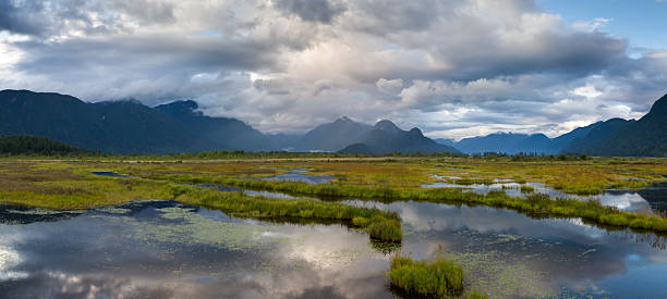 istock Scenic View of Marshland with Mountains Under Cloudy Sky in BC, Canada 2248118145