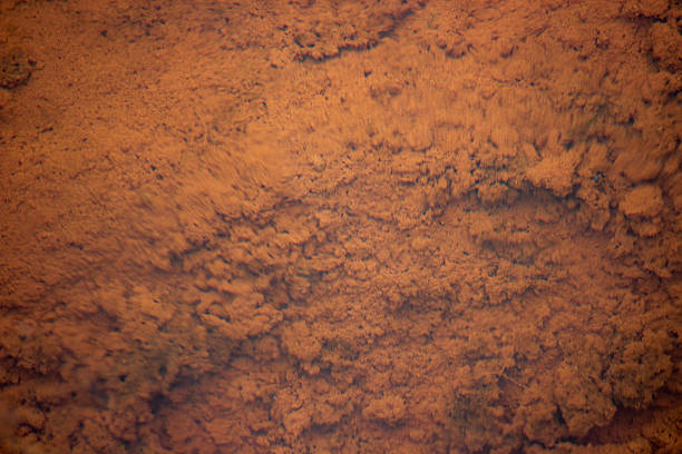 Orange sediment at the bottom of the pond.