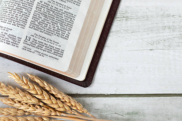 istock Open holy bible book with wheat on a wooden background 2248120620