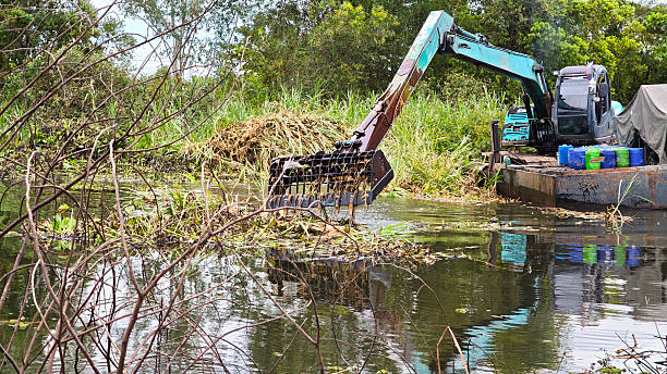 istock Excavators dig up water hyacinth in the canal to keep it clean. 2248121152