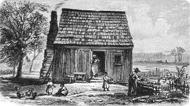 African American family home with vernacular architecture in Florida landscape, showing post-Civil War settlement patterns and Southern rural life documentation, old vintage illustration, 1899